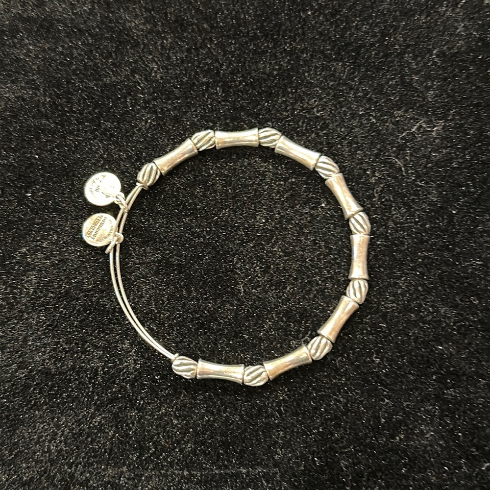 Alex and Ani Expandable bracelet